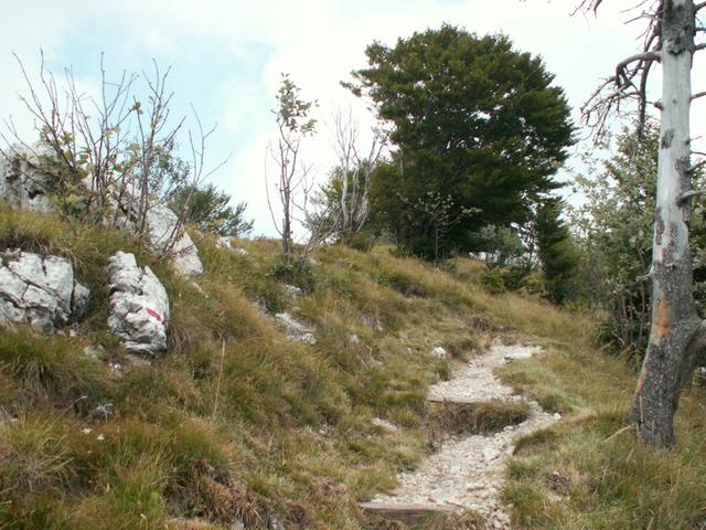 schöner Wanderweg