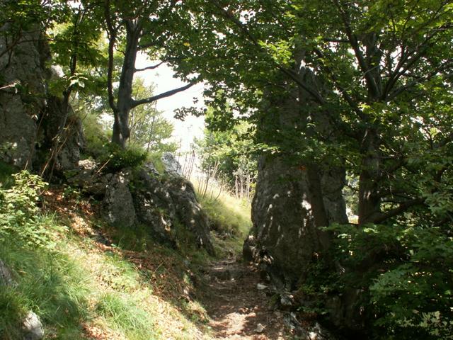 romantischer Wanderweg