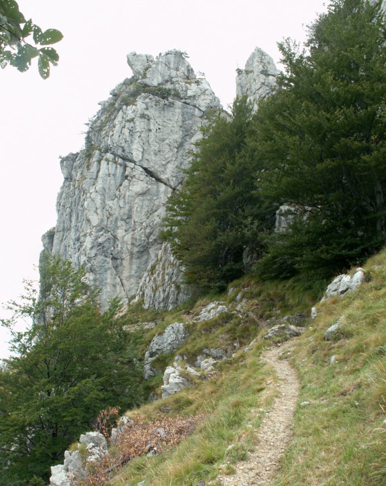 der letzte Zahn der alten Frau