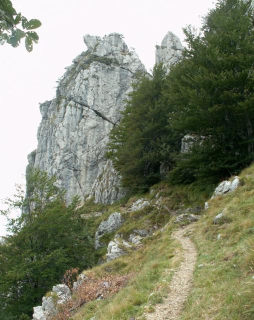 der letzte Zahn der alten Frau