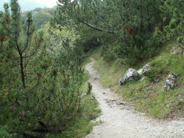 bald haben wir die Hütte erreicht