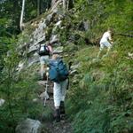 im Wald steil aufwärts