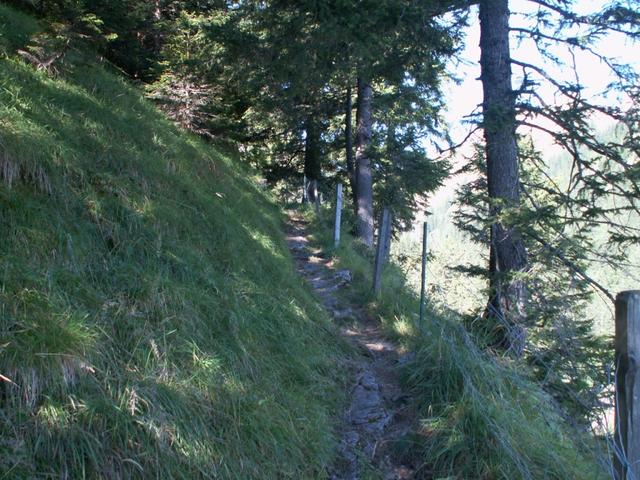 schöner Waldweg