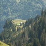 Blick runter zur Stepfen Alp