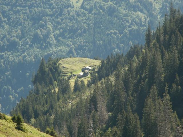 Blick runter zur Stepfen Alp