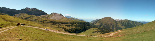 Breitbildfoto von der Bachegg mit Blick Richtung Älggi Alp