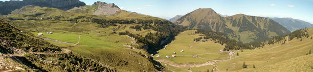 Breitbildfoto der Älggi Alp