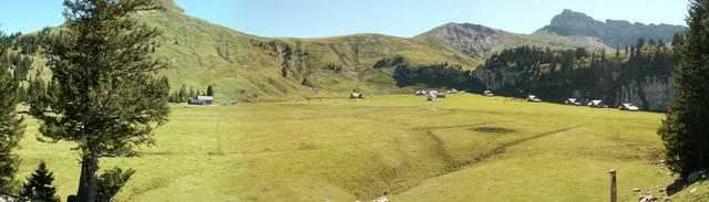 Breitbildfoto auf der Älggi Alp 1636 m.ü.M.