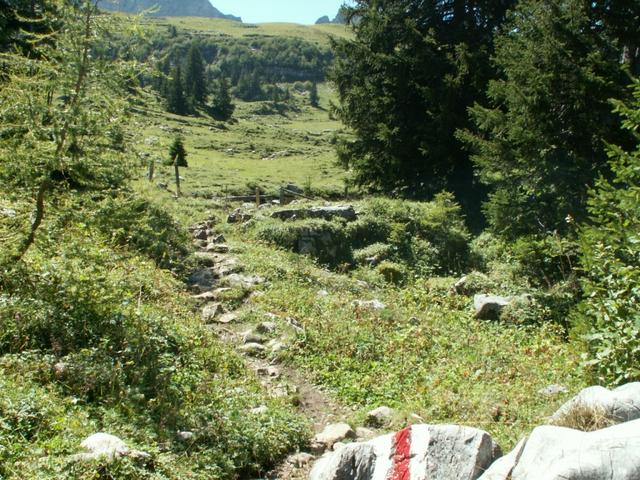 kurz vor Sachsler-Seefeld