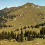 Breitbildfoto mit Blick Richtung Älggi Alp und Heitlistock