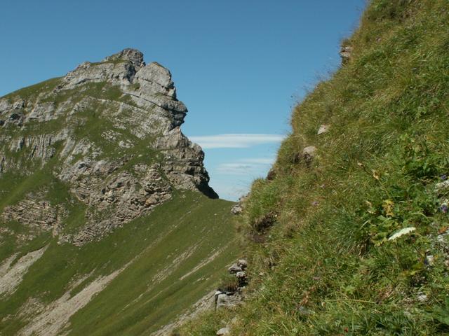 Blick zurück