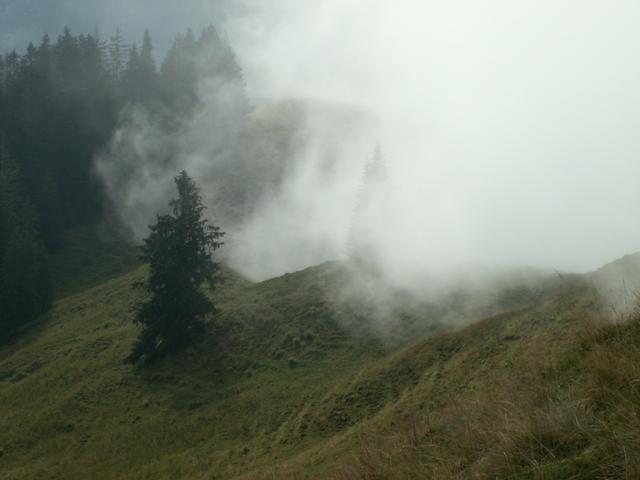 Herbststimmung im August