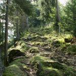 aufwärts Richtung Brüschstockbügel