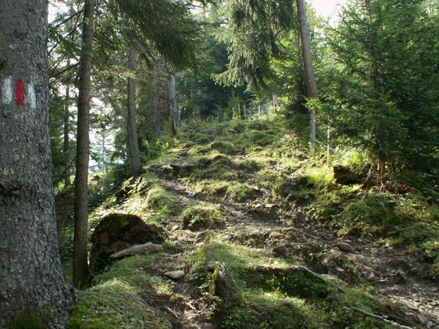 aufwärts Richtung Brüschstockbügel