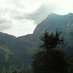 Breitbildfoto mit Chöpfenberg, Scheideggpass und Tierberg