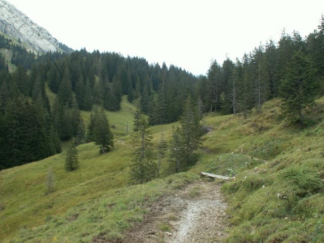 weiter Richtung Scheideggpass