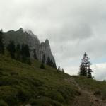 Blick Richtung Tierberg und Bockmattli