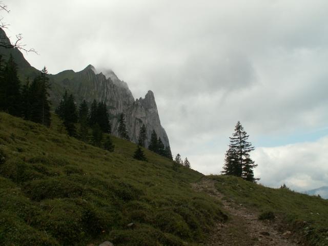 Blick Richtung Tierberg und Bockmattli