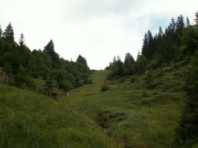 Blick zurück zum Scheideggpass