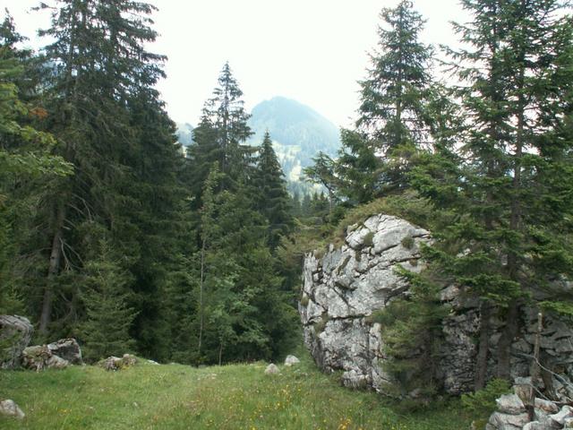 es geht runter nach Hinter Schwändi