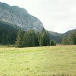 Breitbildfoto mit Blick Richtung Scheideggpass