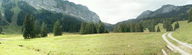 Breitbildfoto mit Blick Richtung Scheideggpass