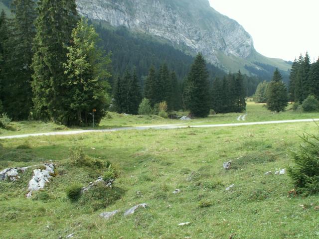 bei Schattenstaffel 1259 m.ü.M. geht es weglos geradeaus