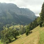 Blick zurück, im Hintergrund der Bärensolspitz und Tierberg