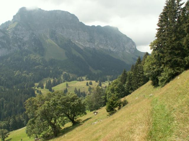 Blick zurück, im Hintergrund der Bärensolspitz und Tierberg