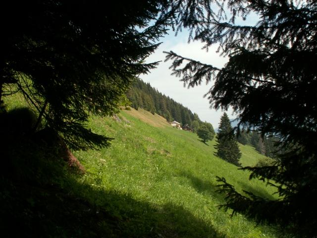 Blick Richtung Hinter Sunnenalp