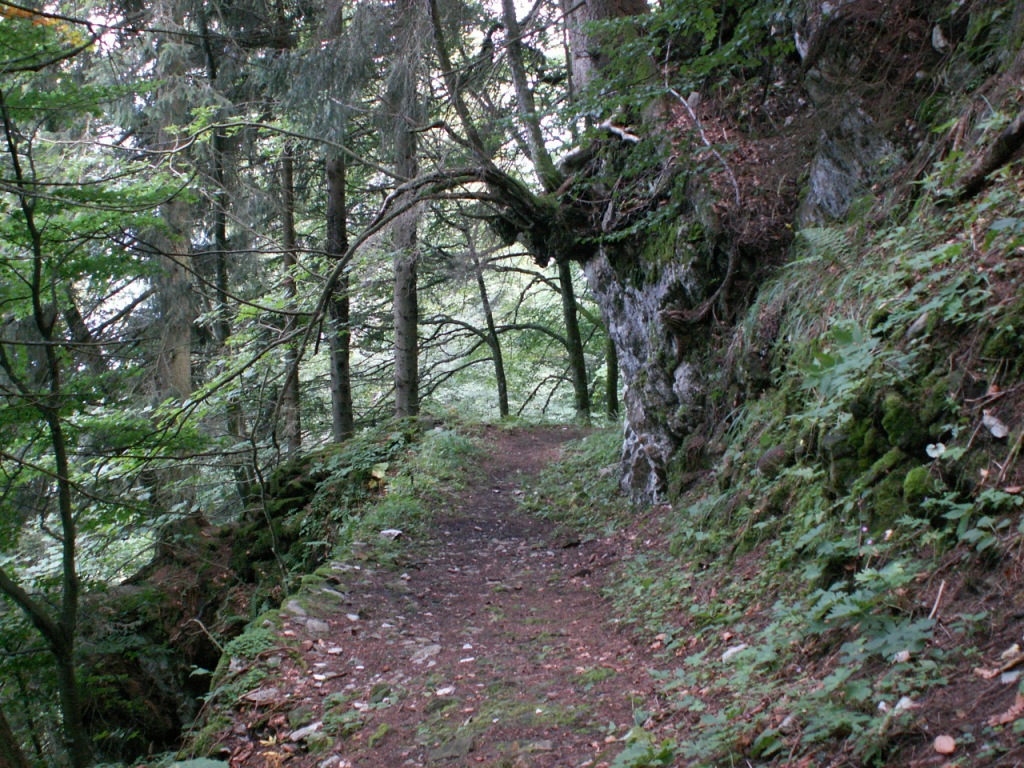 es geht runter nach Niederurnen