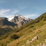 Blick zum Chli Griessenhorn