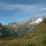 Blick Richtung Sustenpass mit Sustenpassstrasse