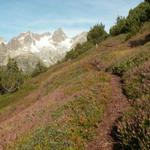 schöner Bergweg Richtung Sustlihütte