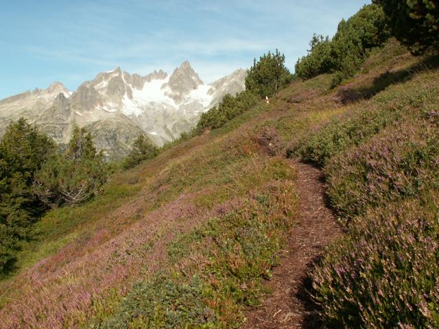 schöner Bergweg Richtung Sustlihütte