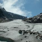 vor dem Steingletscher