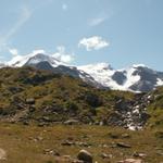 Blick zurück zum Gwächtenhorn und Tierberg