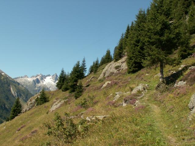 aufwärts Richtung Bergalp