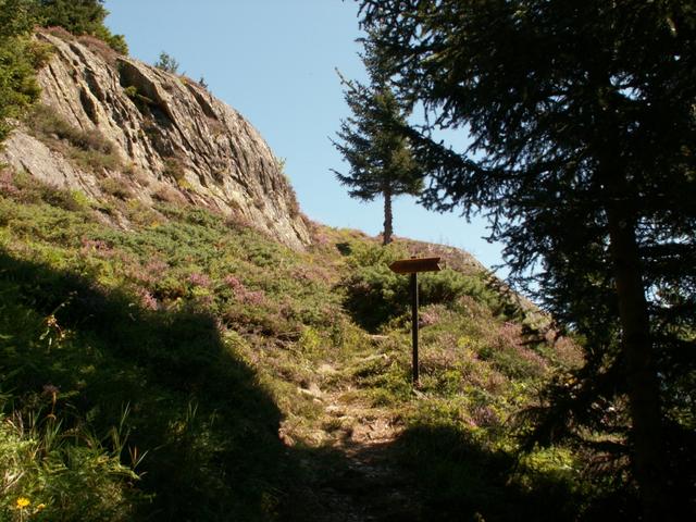 Wegweiser der uns zeigt das wir auf dem richtigen Weg sind