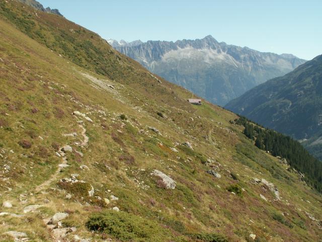 Blick zurück Richtung Bergalp