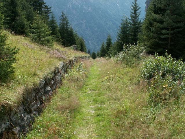 an der Druckleitung entlang runter Richtung Gurtnellen