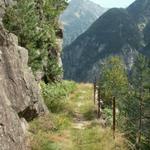 ein schöner Wanderweg