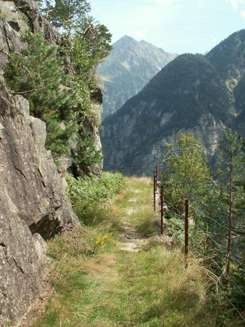 ein schöner Wanderweg