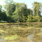 Breitbildfoto Schlossweiher