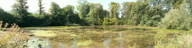 Breitbildfoto Schlossweiher