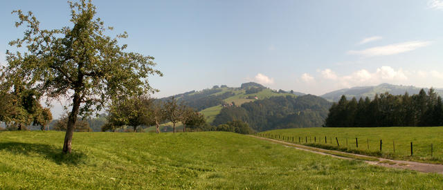 Breitbildfoto kurz vor St.Gallen Neudorf