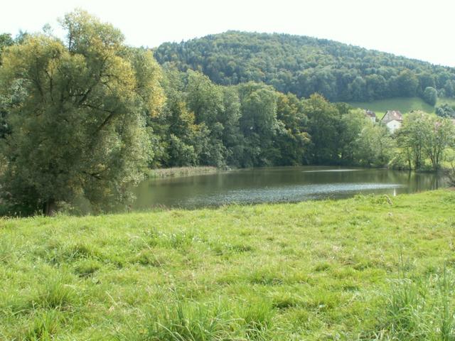 der Burgweiher