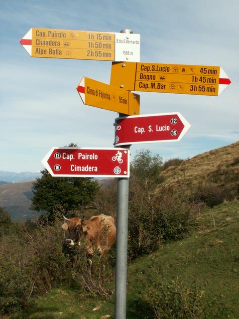 Bocchetta di San Bernardo 1586 m.ü.M.