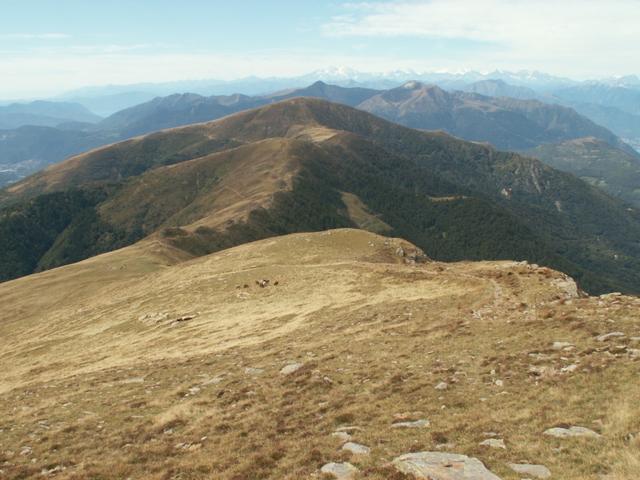 Gratweg Richtung Cima Moncucco