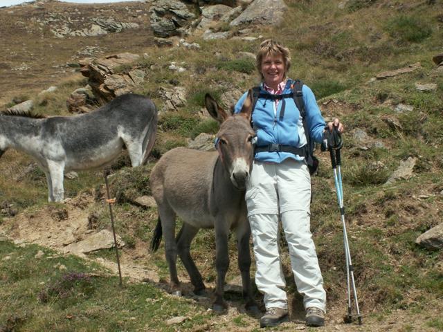 Esel und Mäusi in zärtlicher Umarmung